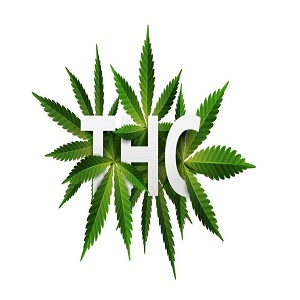 THC GUMMIES UK Logo