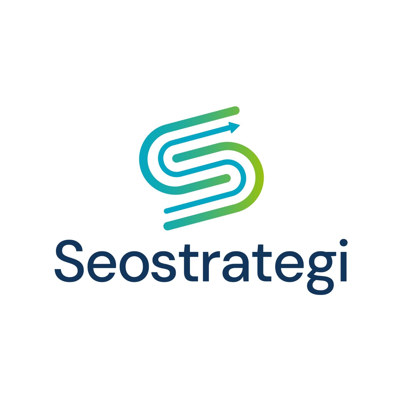 Seo Strategi Logo