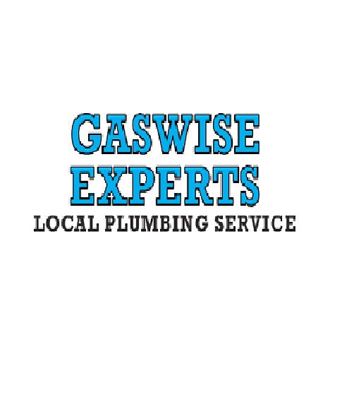 Gaswise Experts Logo
