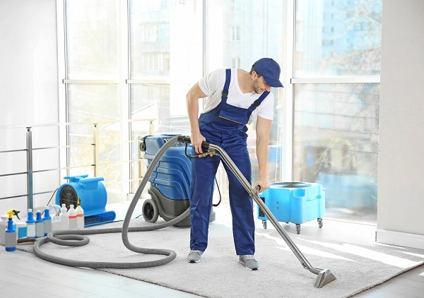 Sparkle Brighton Carpet Cleaning & Upholstery Cleaning Logo