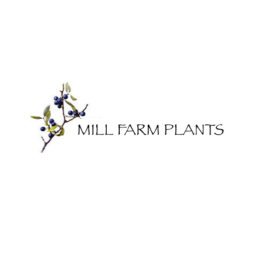 Mill Farm Trees Logo