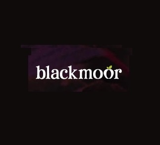 Blackmoor Logo