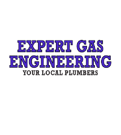 Expert Gas Engineering Logo
