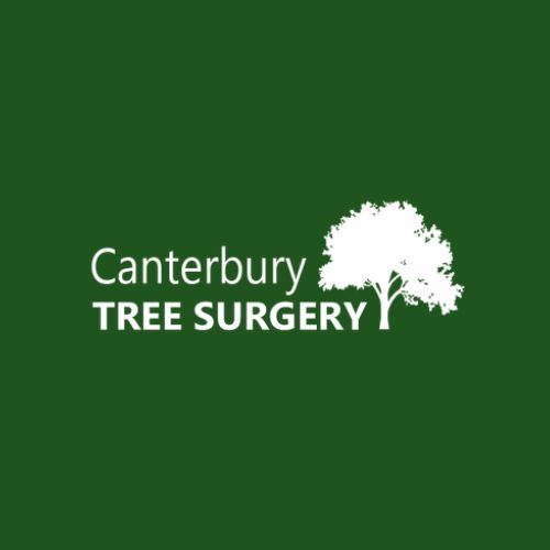 Canterbury Tree Surgery: Tree Surgery in Kent Logo