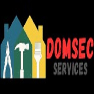 DOMSEC logo