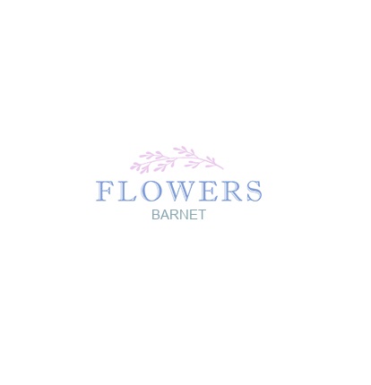 Barnet Florists Logo