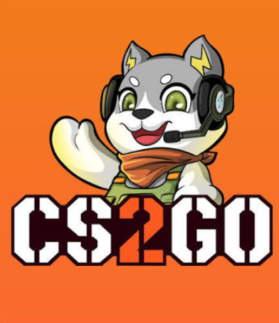CS2GO logo