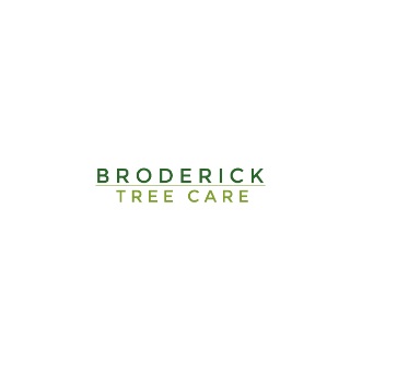 Broderick Tree Services logo