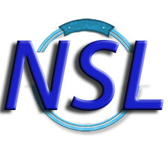 Network Systems Logo