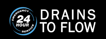 Drains to Flow Logo