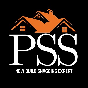 Professional Snagging Survey Logo