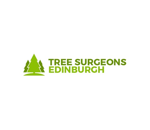 Tree Surgeon Edinburgh Logo