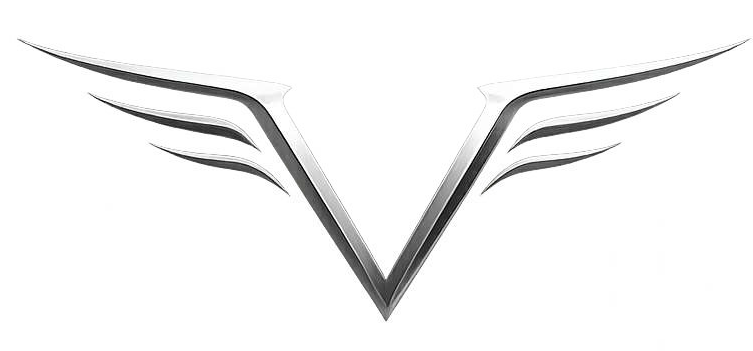 velmoreexecutive logo