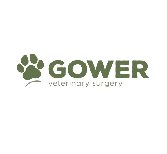 Gower Veterinary Surgery - Swansea Logo
