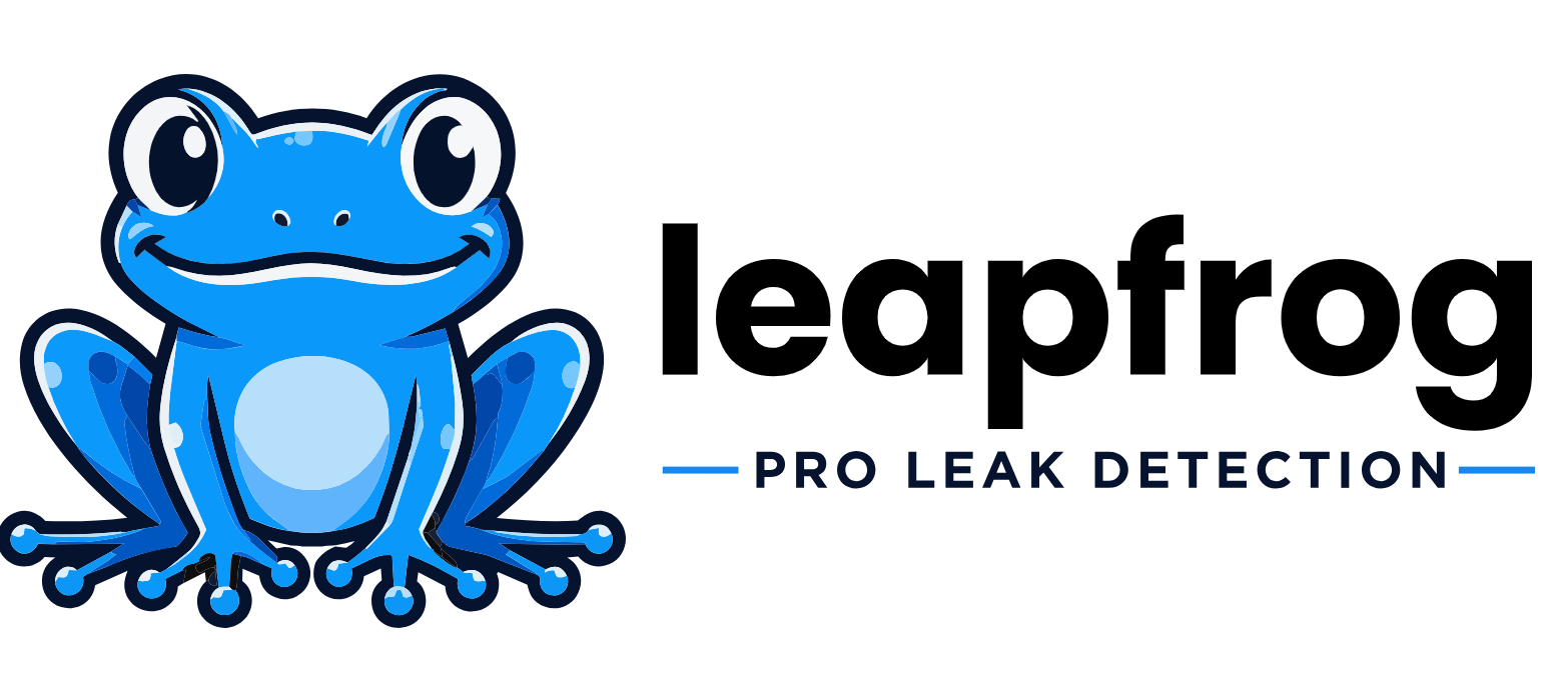 Leapfrog Leak Detection Logo