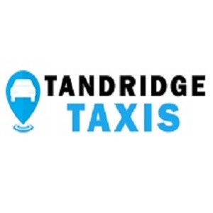 Tandridge Taxis logo