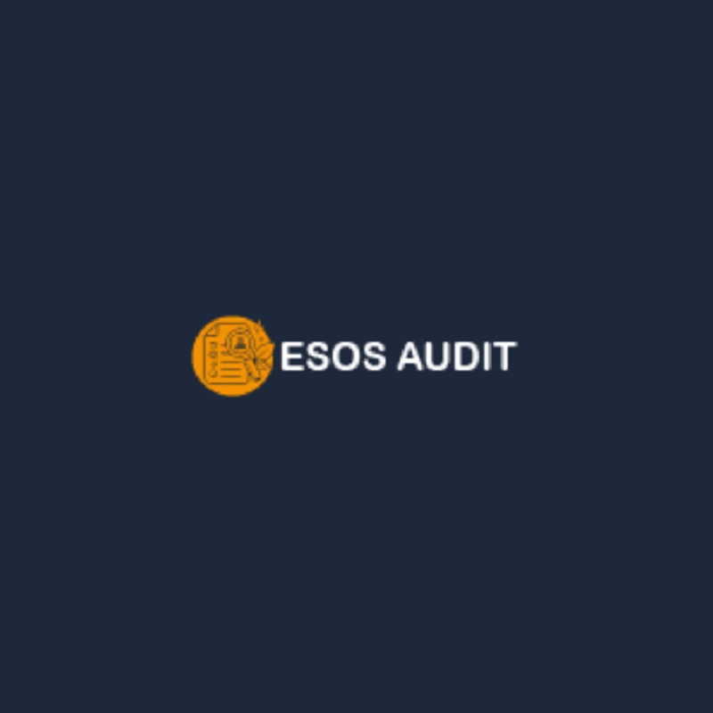 ESOS Audit Ltd Logo