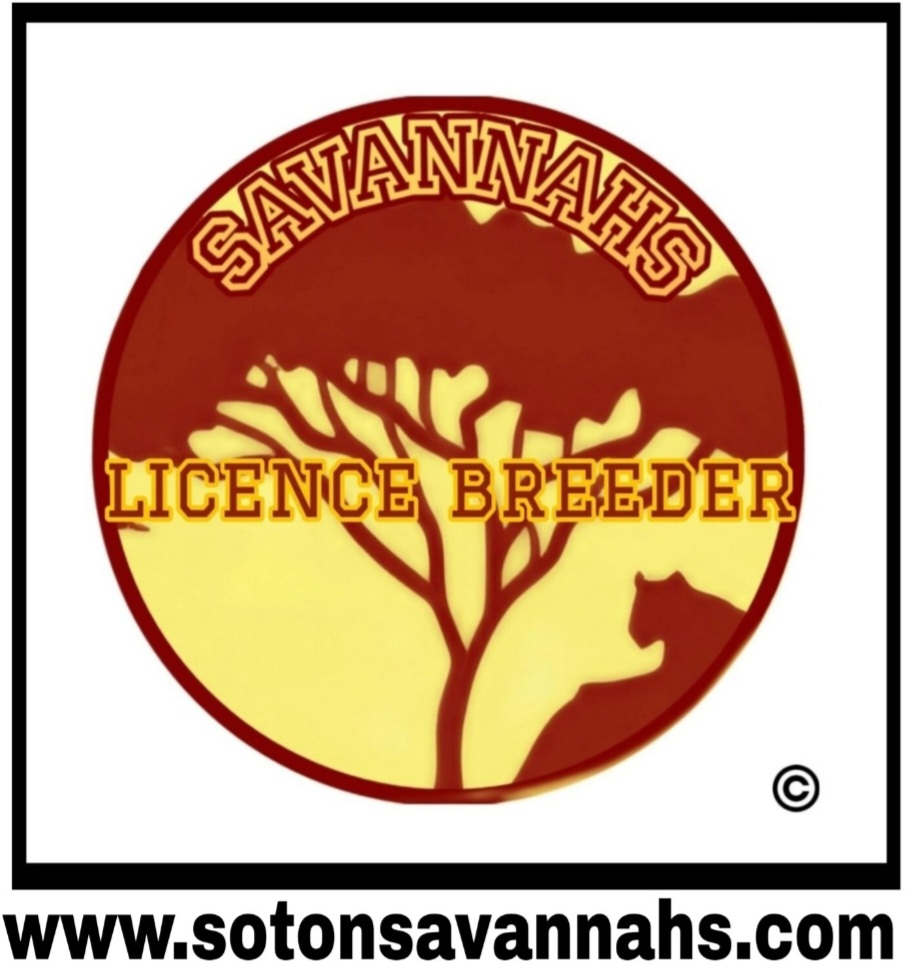 Sotonsavannahs logo